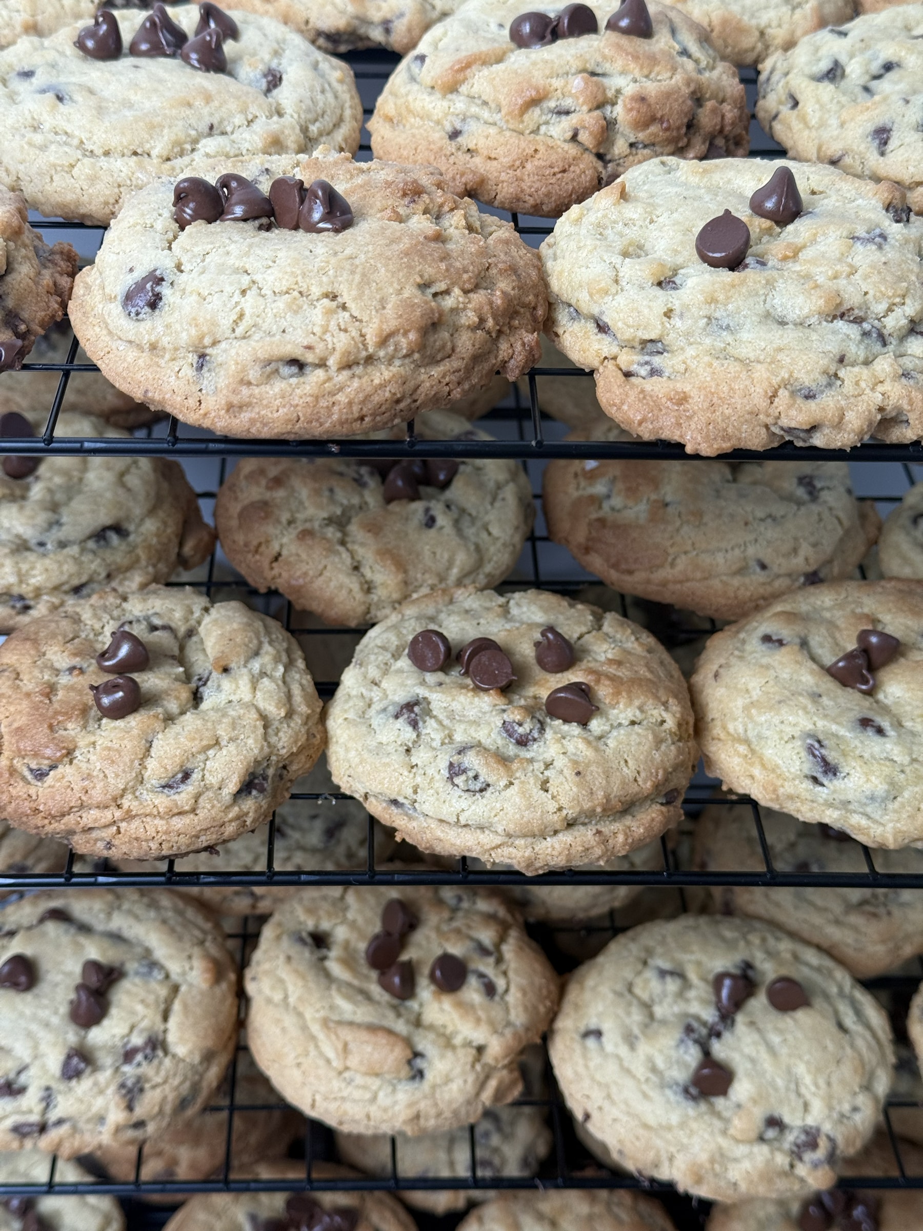 Chocolate Chip Cookies